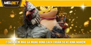 2 Cách Xem Màu Gà Mạng Đúng Cách Chuẩn Sư Kê Kinh Nghiệm