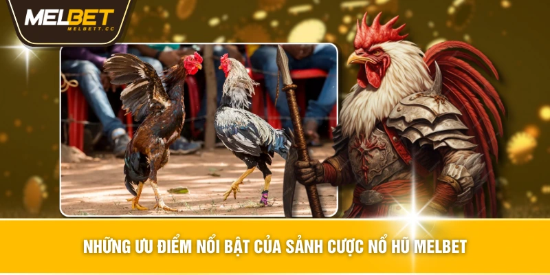 2 kiểu đá gà thomo phổ biến nhất