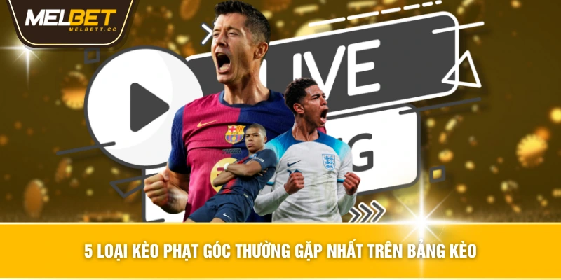 5 loại kèo phạt góc thường gặp nhất trên bảng kèo