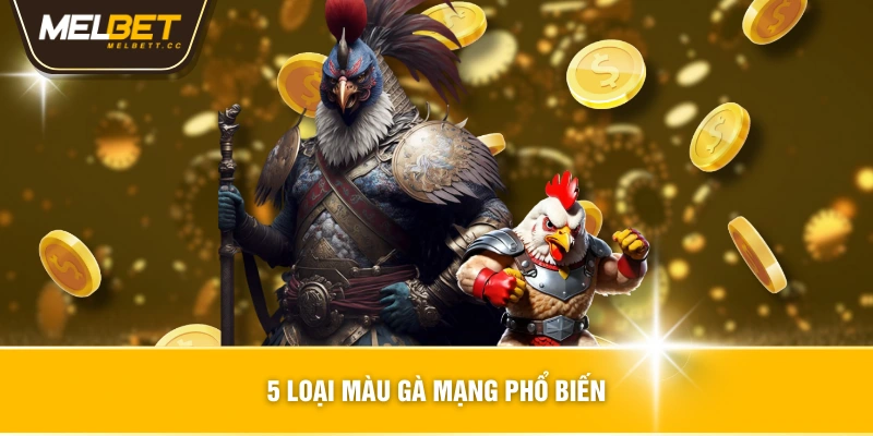 5 loại màu gà mạng phổ biến