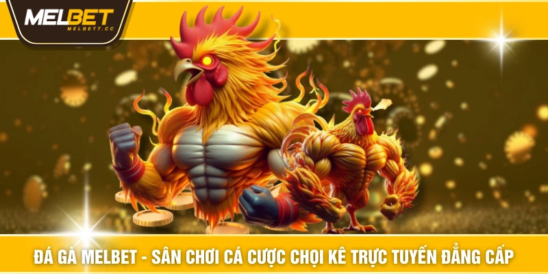 Đá Gà MELBET - Sân Chơi Cá Cược Chọi Kê trực tuyến Đẳng Cấp