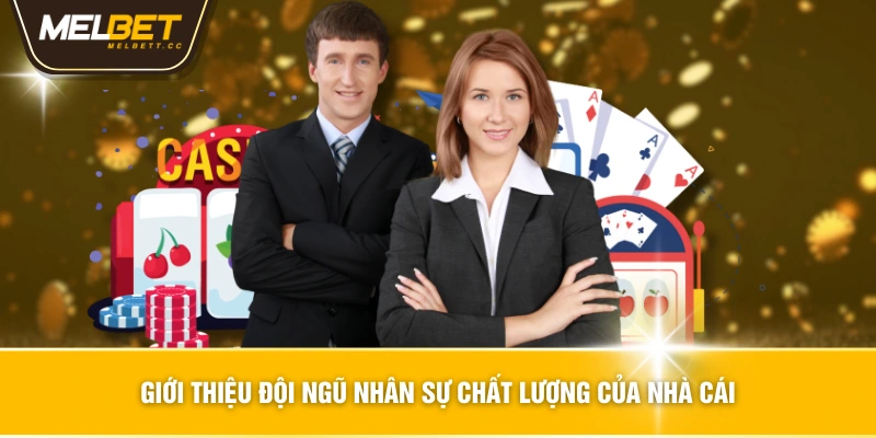 Giới thiệu đội ngũ nhân sự chất lượng của nhà cái