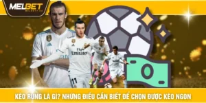 Kèo Rung Là Gì? Những Điều Cần Biết Để Chọn Được Kèo Ngon