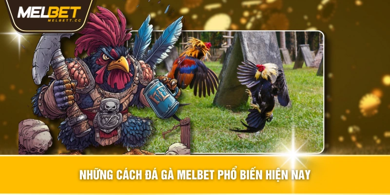 Những cách đá gà MELBET phổ biến hiện nay
