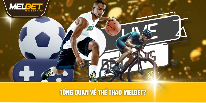Tổng quan về Thể Thao MELBET?